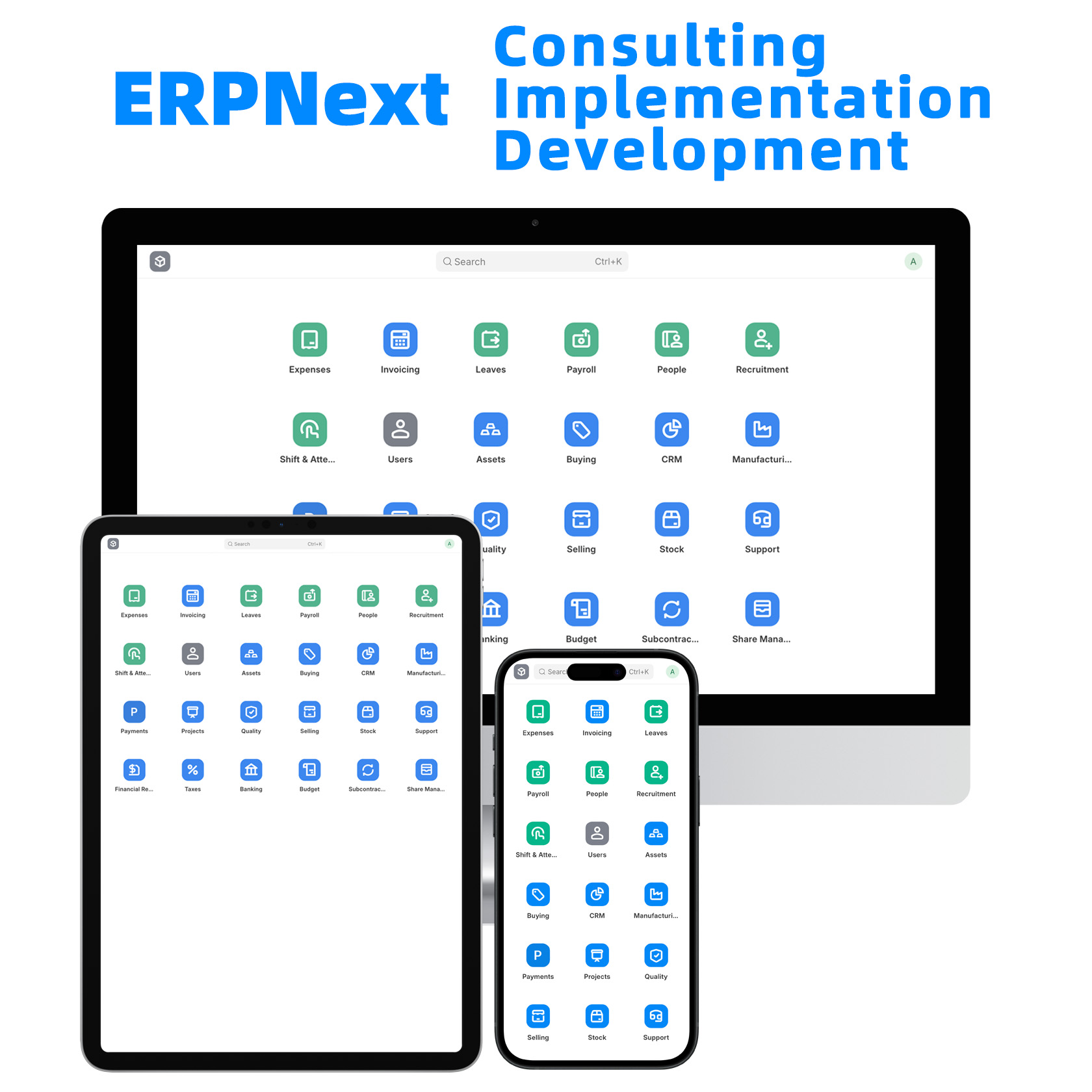 ERP Consultant